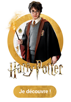 Jeux et jouets Harry Potter pour enfant de 6-8 ans